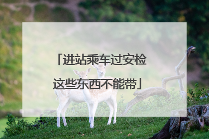 进站乘车过安检 这些东西不能带