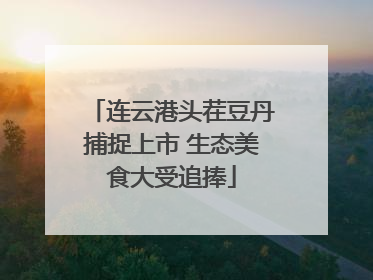 连云港头茬豆丹捕捉上市 生态美食大受追捧