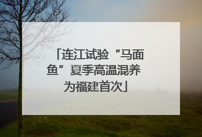 连江试验“马面鱼”夏季高温混养 为福建首次