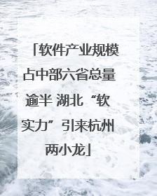 软件产业规模占中部六省总量逾半 湖北“软实力”引来杭州两小龙