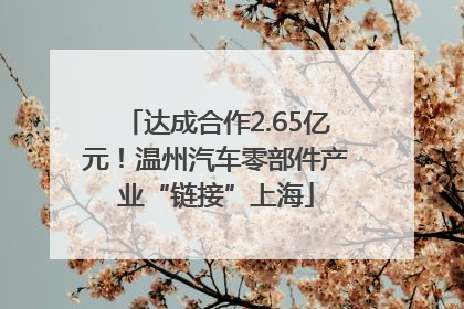 达成合作2.65亿元！温州汽车零部件产业“链接”上海