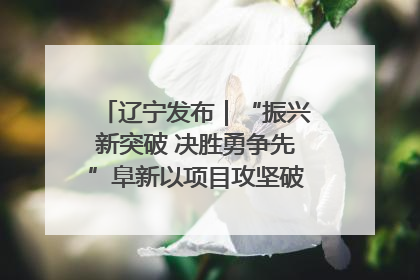 辽宁发布｜“振兴新突破 决胜勇争先”阜新以项目攻坚破解发展瓶颈 经济发展实现良好开局