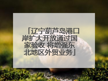 辽宁葫芦岛港口岸扩大开放通过国家验收 将增强东北地区外贸业务