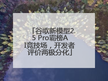 谷歌新模型2.5 Pro霸榜AI竞技场，开发者评价两极分化