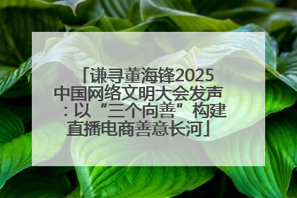 谦寻董海锋2025中国网络文明大会发声：以“三个向善”构建直播电商善意长河