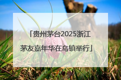 贵州茅台2025浙江茅友嘉年华在乌镇举行