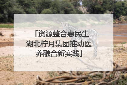 资源整合惠民生 湖北柠月集团推动医养融合新实践
