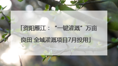 资阳雁江：“一键灌溉”万亩良田 全域灌溉项目7月投用