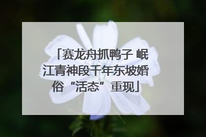 赛龙舟抓鸭子 岷江青神段千年东坡婚俗“活态”重现