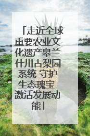 走近全球重要农业文化遗产皋兰什川古梨园系统 守护生态瑰宝 激活发展动能