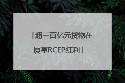 超三百亿元货物在厦享RCEP红利