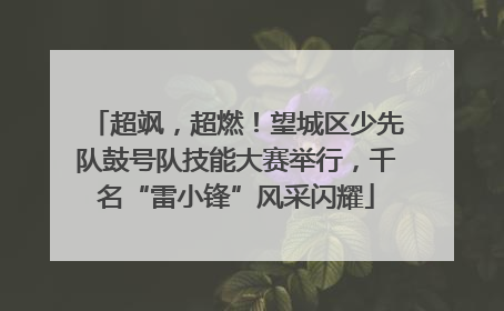 超飒，超燃！望城区少先队鼓号队技能大赛举行，千名“雷小锋”风采闪耀