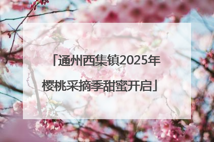通州西集镇2025年樱桃采摘季甜蜜开启