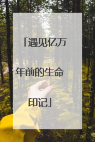 遇见亿万年前的生命印记