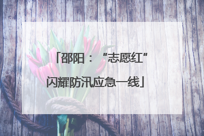 邵阳：“志愿红”闪耀防汛应急一线
