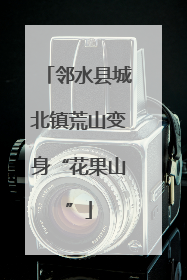 邻水县城北镇荒山变身“花果山”
