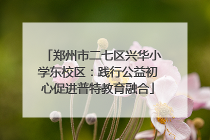 郑州市二七区兴华小学东校区：践行公益初心促进普特教育融合