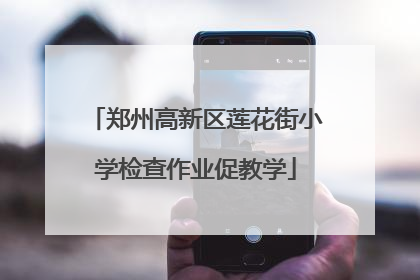 郑州高新区莲花街小学检查作业促教学