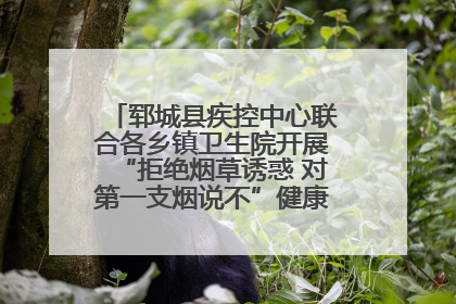 郓城县疾控中心联合各乡镇卫生院开展“拒绝烟草诱惑 对第一支烟说不”健康教育宣传活动