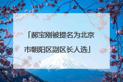 郝宝刚被提名为北京市朝阳区副区长人选