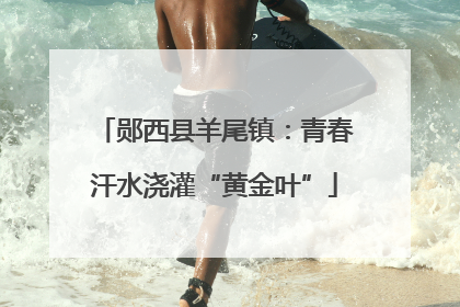 郧西县羊尾镇：青春汗水浇灌“黄金叶”