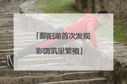 鄱阳湖首次发现彩鹮筑巢繁殖