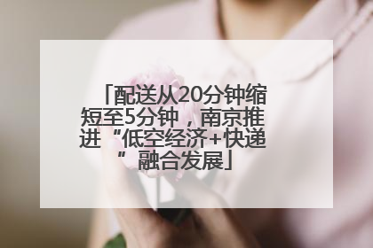 配送从20分钟缩短至5分钟，南京推进“低空经济+快递”融合发展