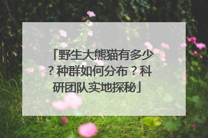野生大熊猫有多少？种群如何分布？科研团队实地探秘