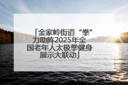 金家岭街道“拳”力助阵2025年全国老年人太极拳健身展示大联动