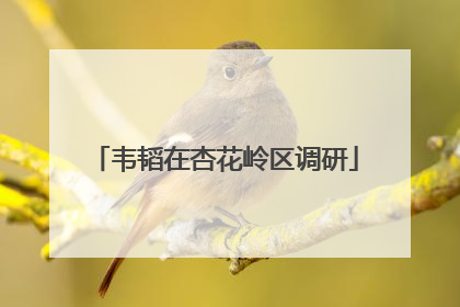 韦韬在杏花岭区调研
