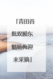 青田首批双膜东魁杨梅迎来采摘