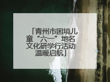 青州市困境儿童“六一”地名文化研学行活动温暖启航