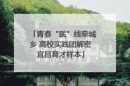 青春“医”线牵城乡 高校实践团解密宜昌育才样本