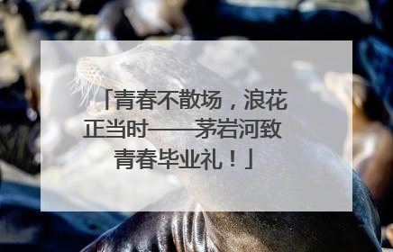 青春不散场，浪花正当时——茅岩河致青春毕业礼！