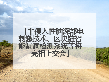 非侵入性脑深部电刺激技术、区块链智能漏洞检测系统等将亮相上交会