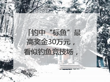 钓中“标鱼”最高奖金30万元，看似钓鱼竞技场，实则以高额“回报”作“饵”……｜今晚九点半