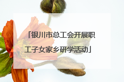银川市总工会开展职工子女家乡研学活动