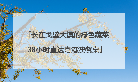 长在戈壁大漠的绿色蔬菜38小时直达粤港澳餐桌