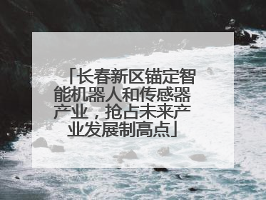 长春新区锚定智能机器人和传感器产业，抢占未来产业发展制高点