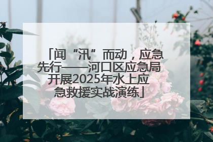 闻“汛”而动，应急先行——河口区应急局开展2025年水上应急救援实战演练