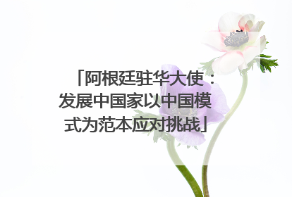 阿根廷驻华大使：发展中国家以中国模式为范本应对挑战