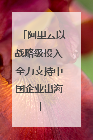 阿里云以战略级投入全力支持中国企业出海