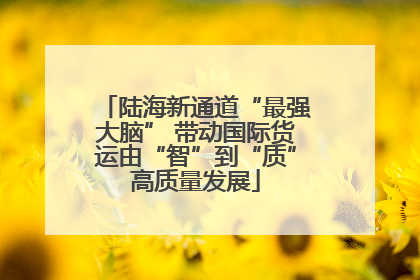 陆海新通道“最强大脑” 带动国际货运由“智”到“质”高质量发展