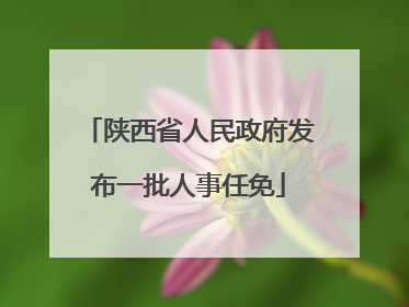 陕西省人民政府发布一批人事任免