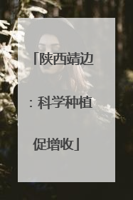 陕西靖边：科学种植促增收