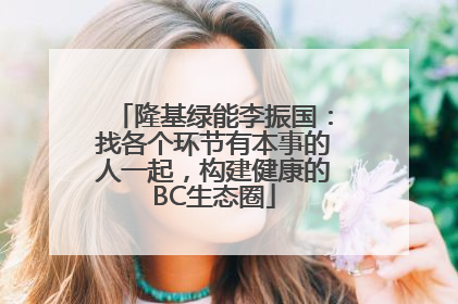 隆基绿能李振国：找各个环节有本事的人一起，构建健康的BC生态圈