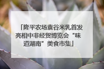隆平农场袁谷米乳首发亮相中非经贸博览会“味道湖南”美食市集