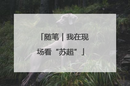 随笔｜我在现场看“苏超”