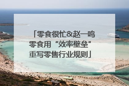 零食很忙&赵一鸣零食用“效率壁垒”重写零售行业规则