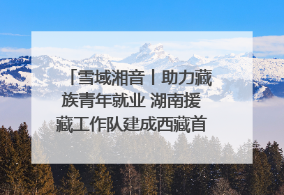 雪域湘音丨助力藏族青年就业 湖南援藏工作队建成西藏首个清洁能源装备园